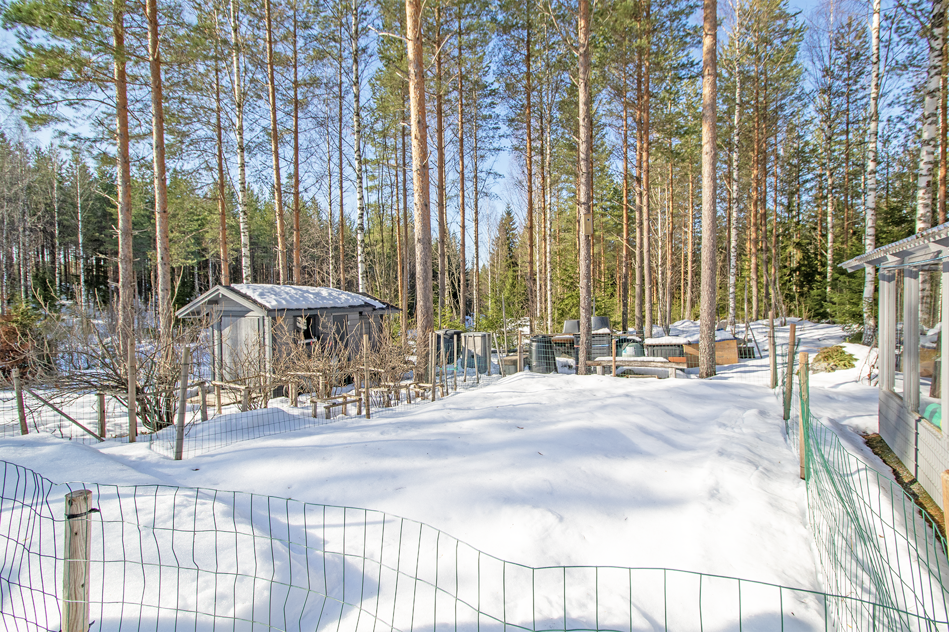 Lammasjärventie 27, Kaislastenlahti, Kuopio