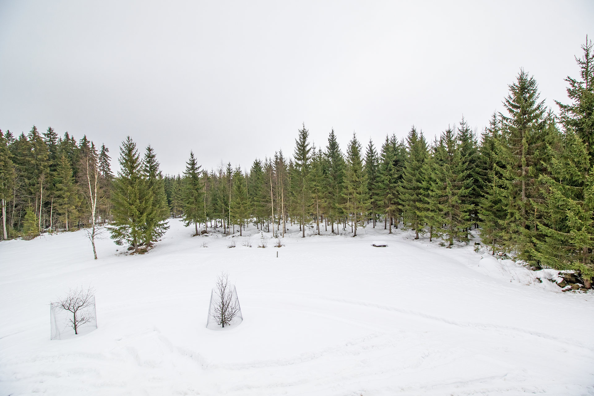 Hakametsäntie 50, Hamula, Siilinjärvi