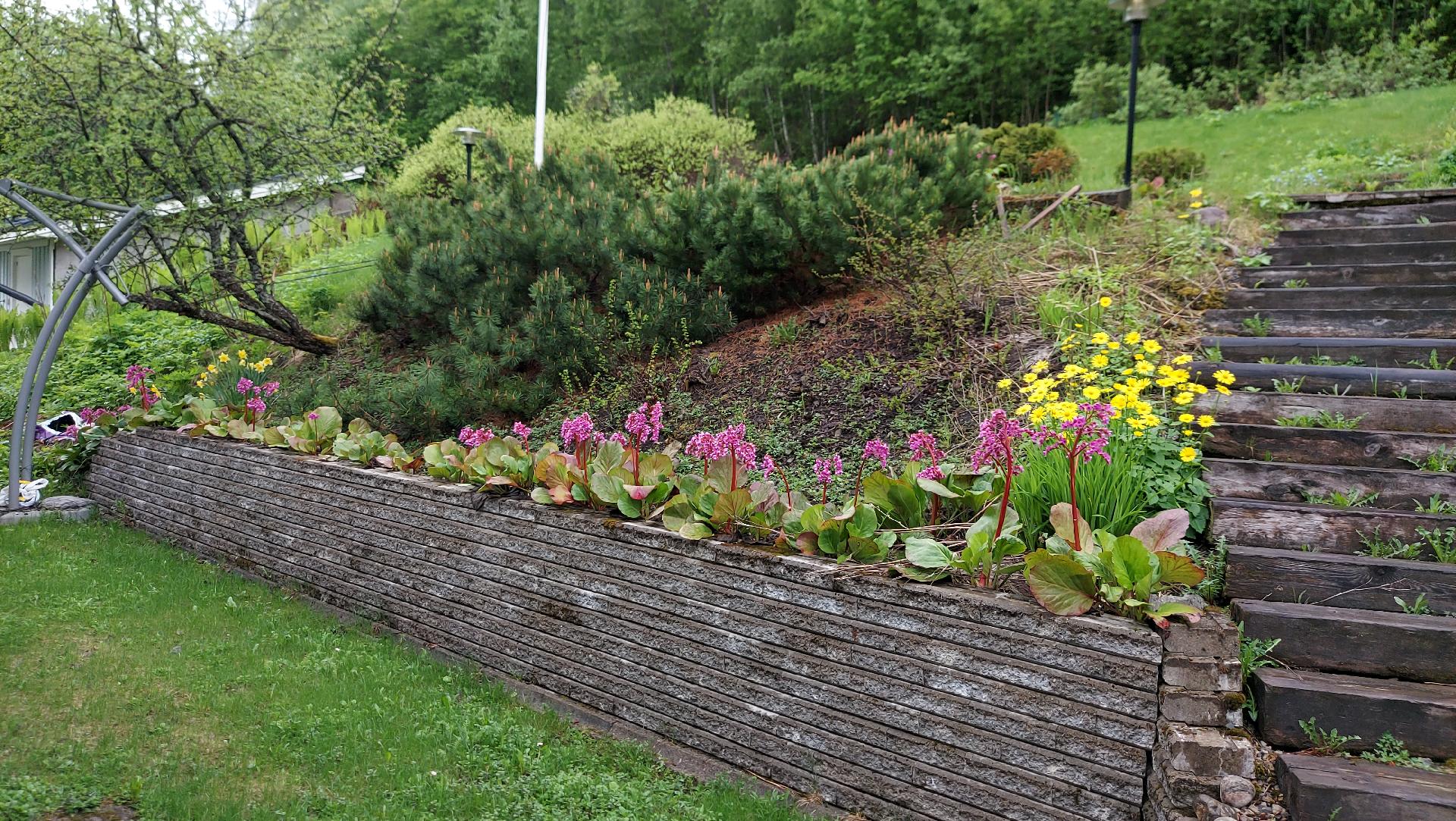 Tiaisenpolku 26, Peipposenrinne, Kuopio