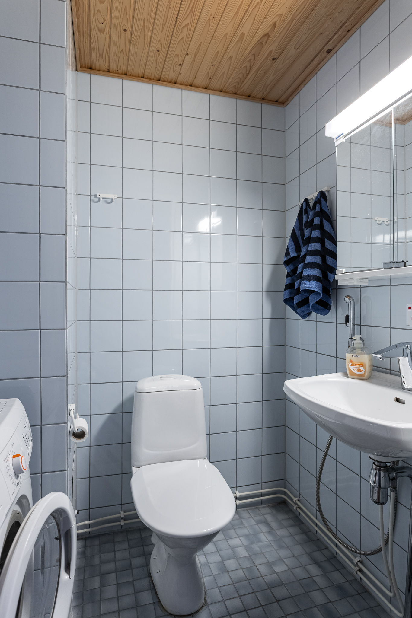 Erillinen wc
