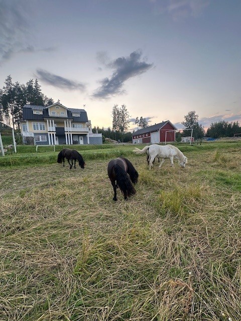 Veijolantie 436, Veijola, Lohja