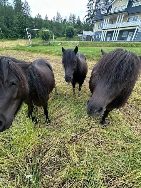 Veijolantie 436, Veijola, Lohja