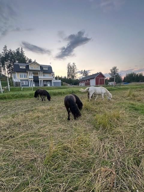 Veijolantie 436, Veijola, Lohja