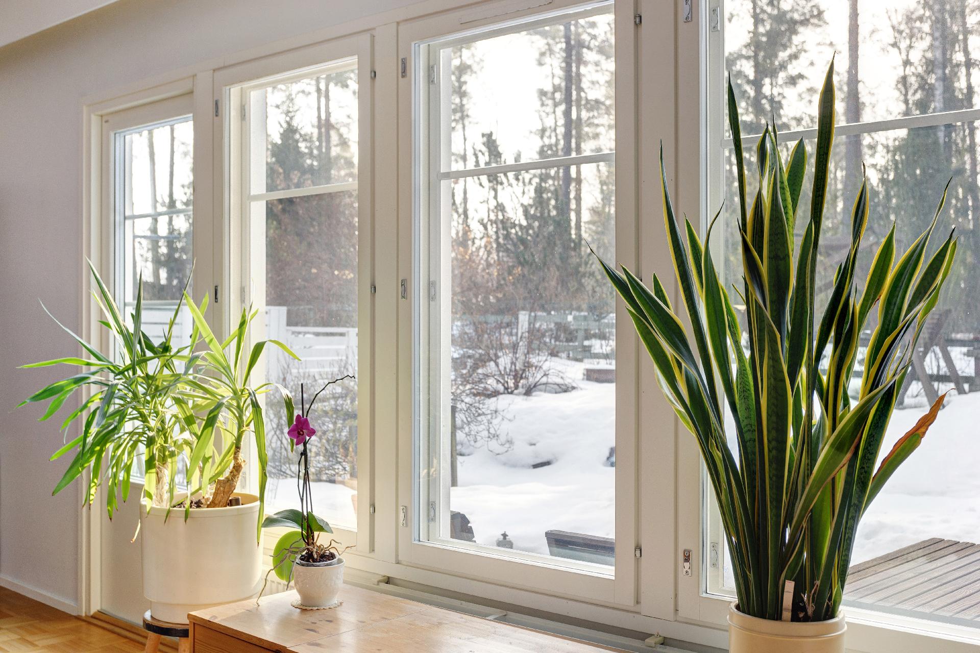 Esikoisentie 8, Maununneva, Helsinki