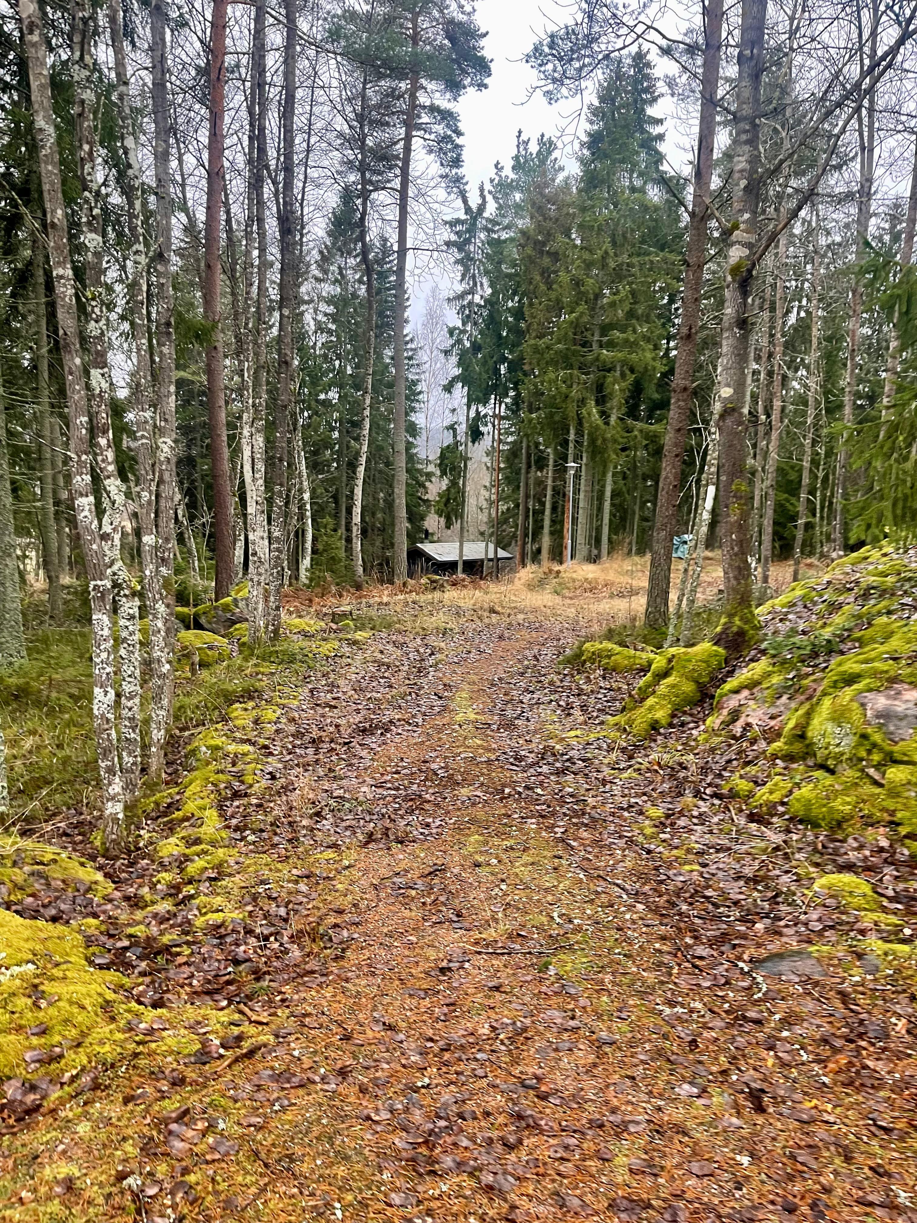 Grevnäsintie 13c, Böle, Siuntio