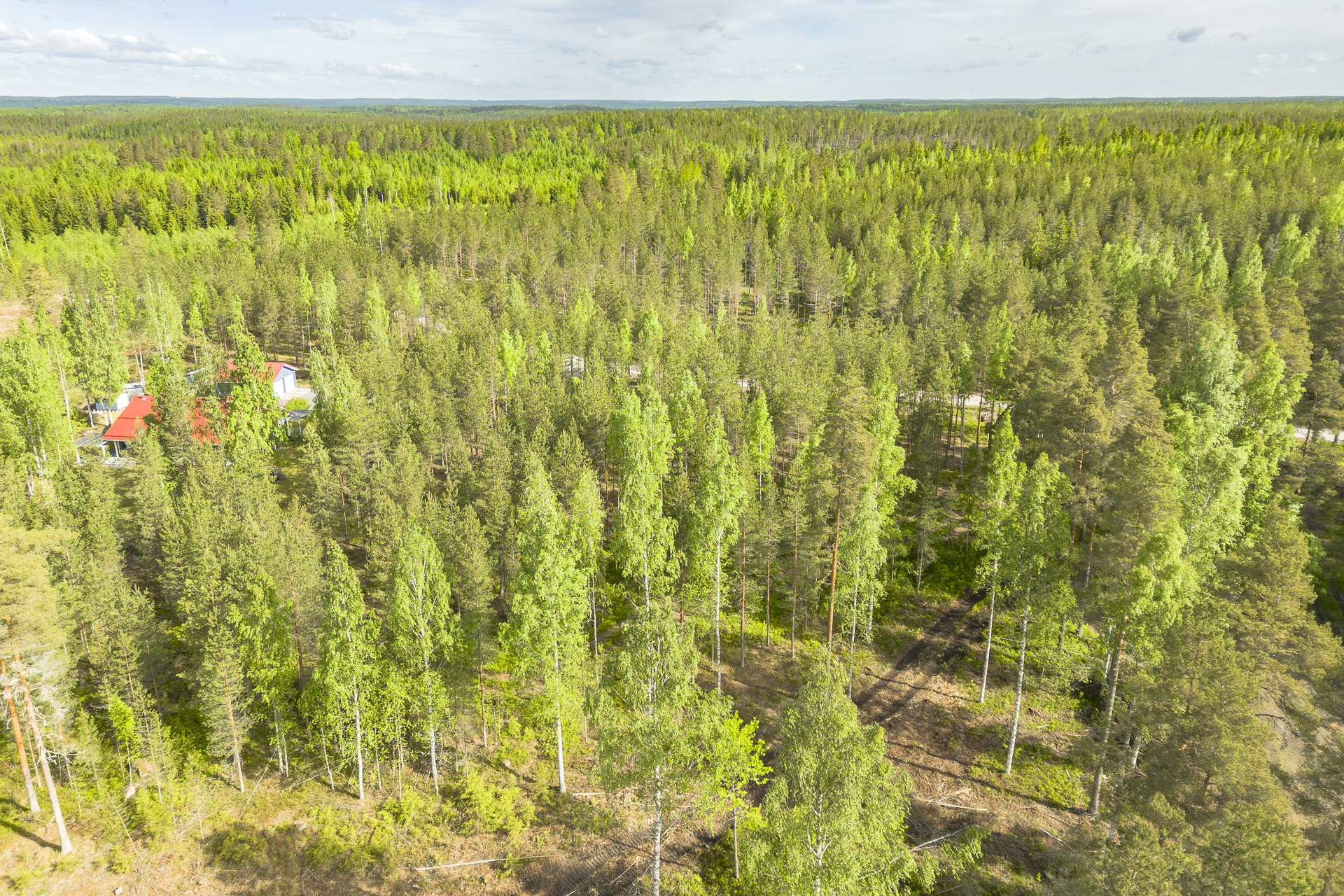 Haapasaarentie 515, Palopuro, Hyvinkää