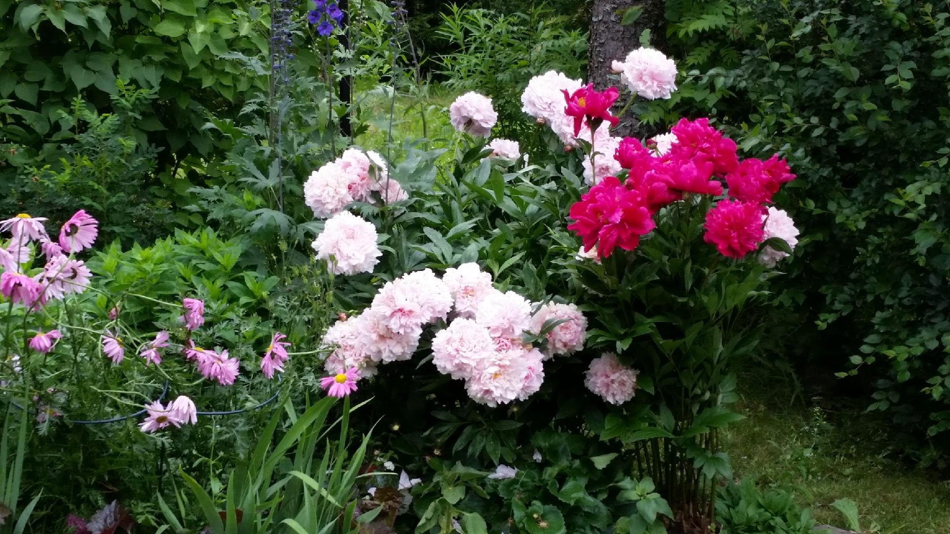 Suopolku 6, Nurmijärvi