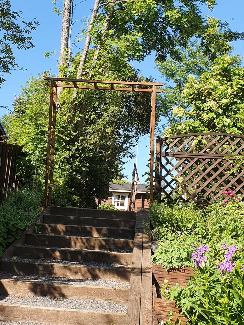 omistajan albumista kesäkuvia