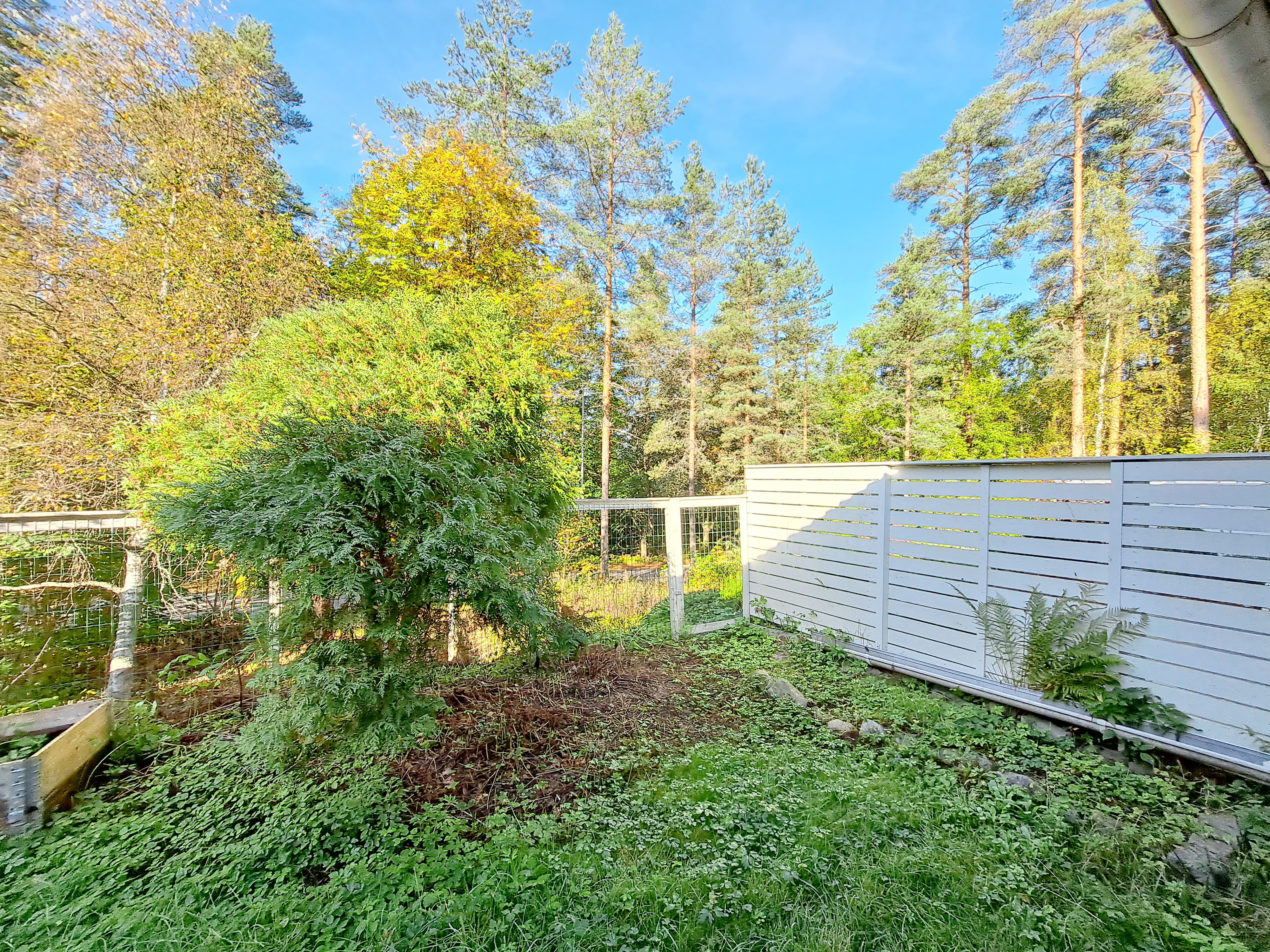 Moisiontie 4, Moisio, Mikkeli