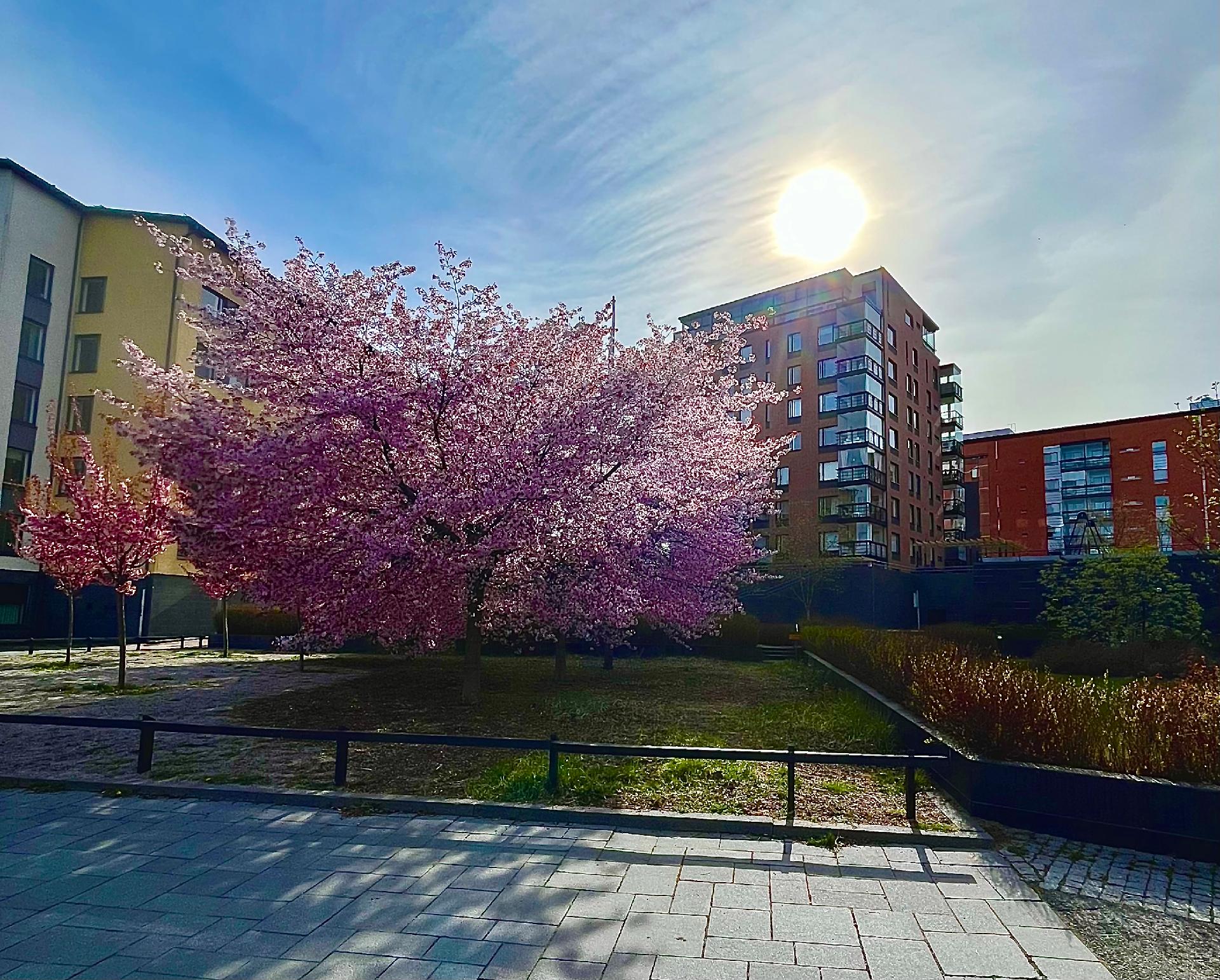 Aurinkotuulenkatu 12, Aurinkolahti, Helsinki