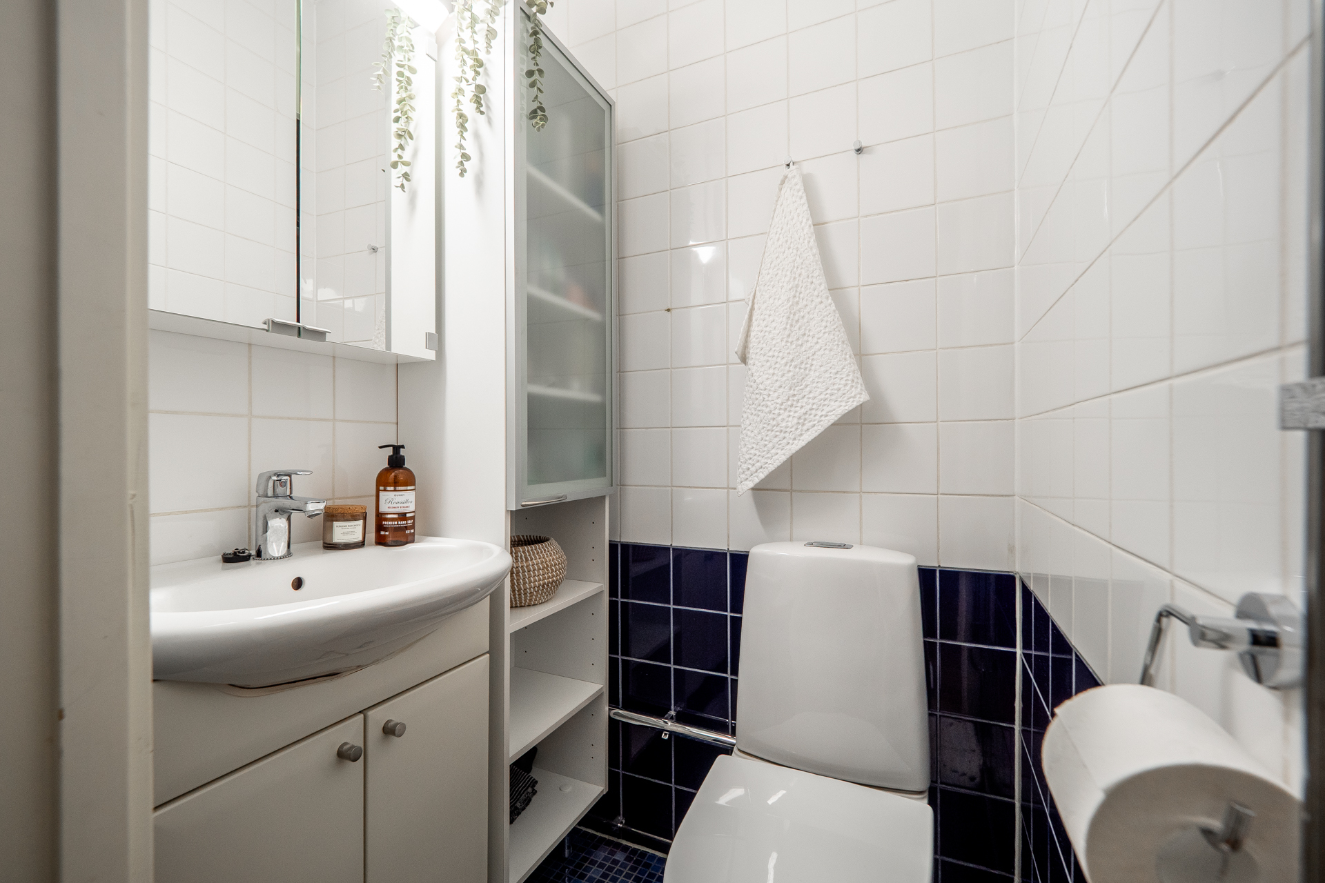 Erillinen wc