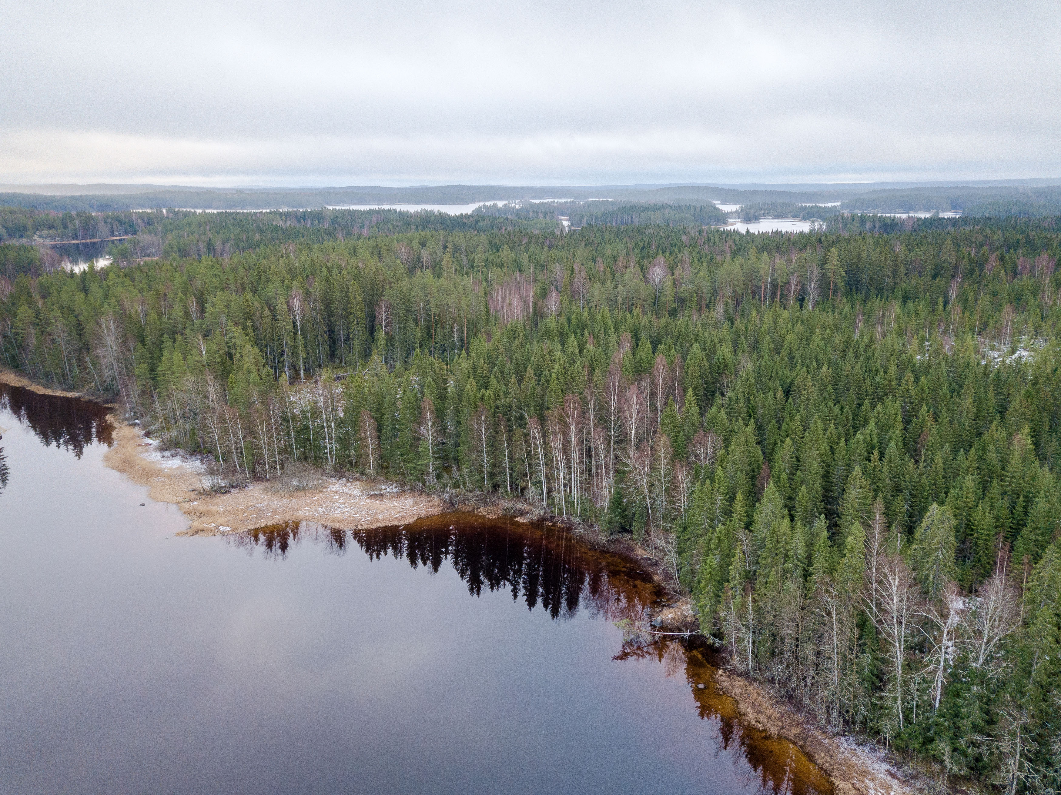 Näntöntie 35, Vaskivesi, Virrat