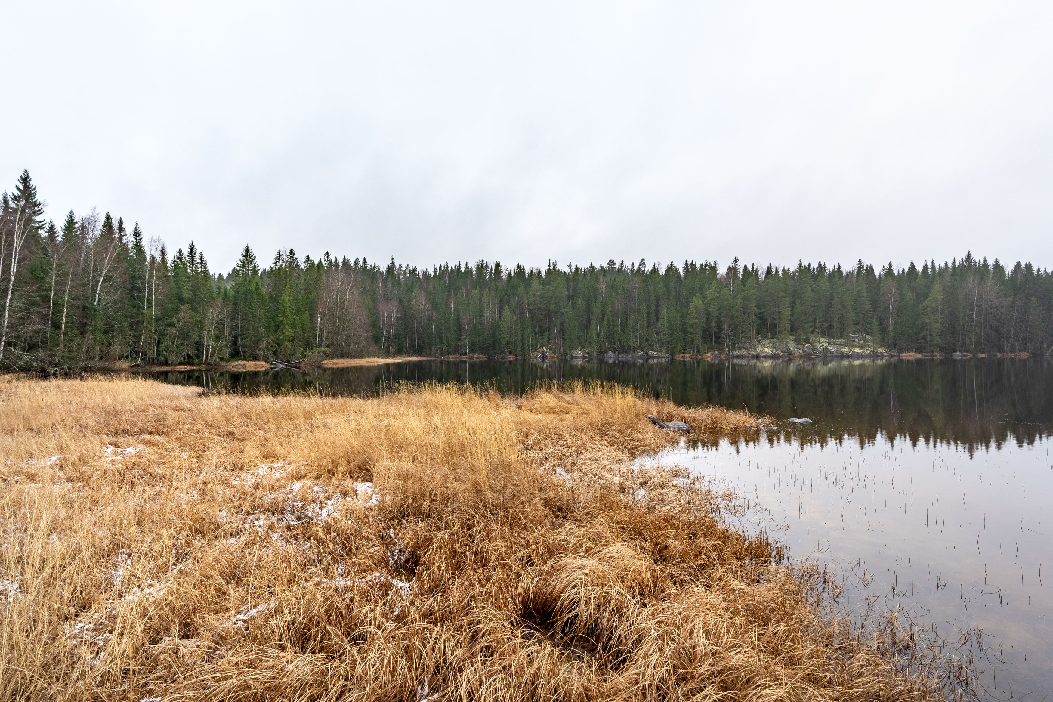 Näntöntie 35, Vaskivesi, Virrat