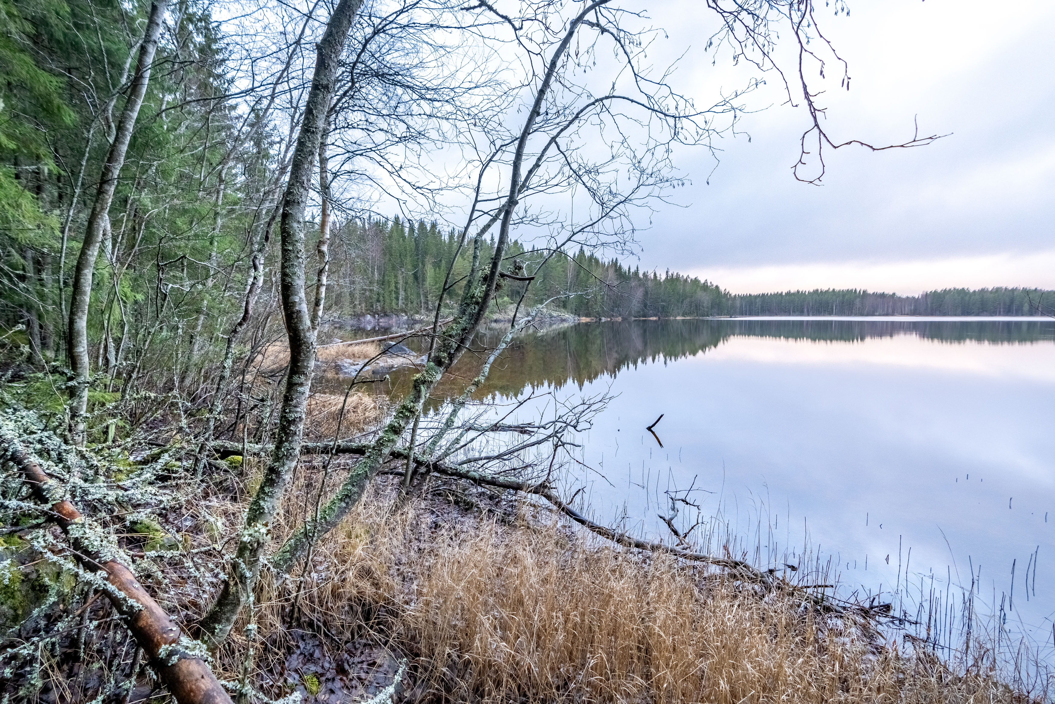 Näntöntie 35, Vaskivesi, Virrat