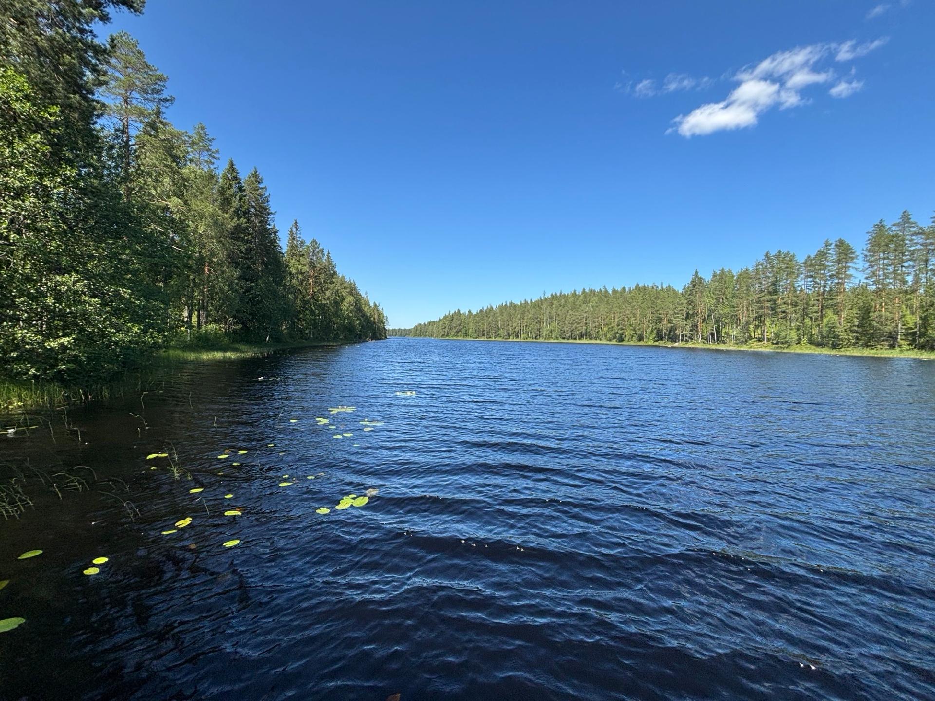 Lauttajoentie 121, Pohjaslahti, Mänttä-Vilppula