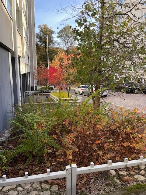 Albertinkatu 3, Punavuori, Helsinki