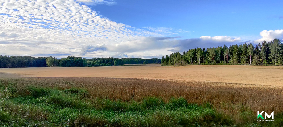 Asiakkaan omat kuvat - Kundens egna bilder
