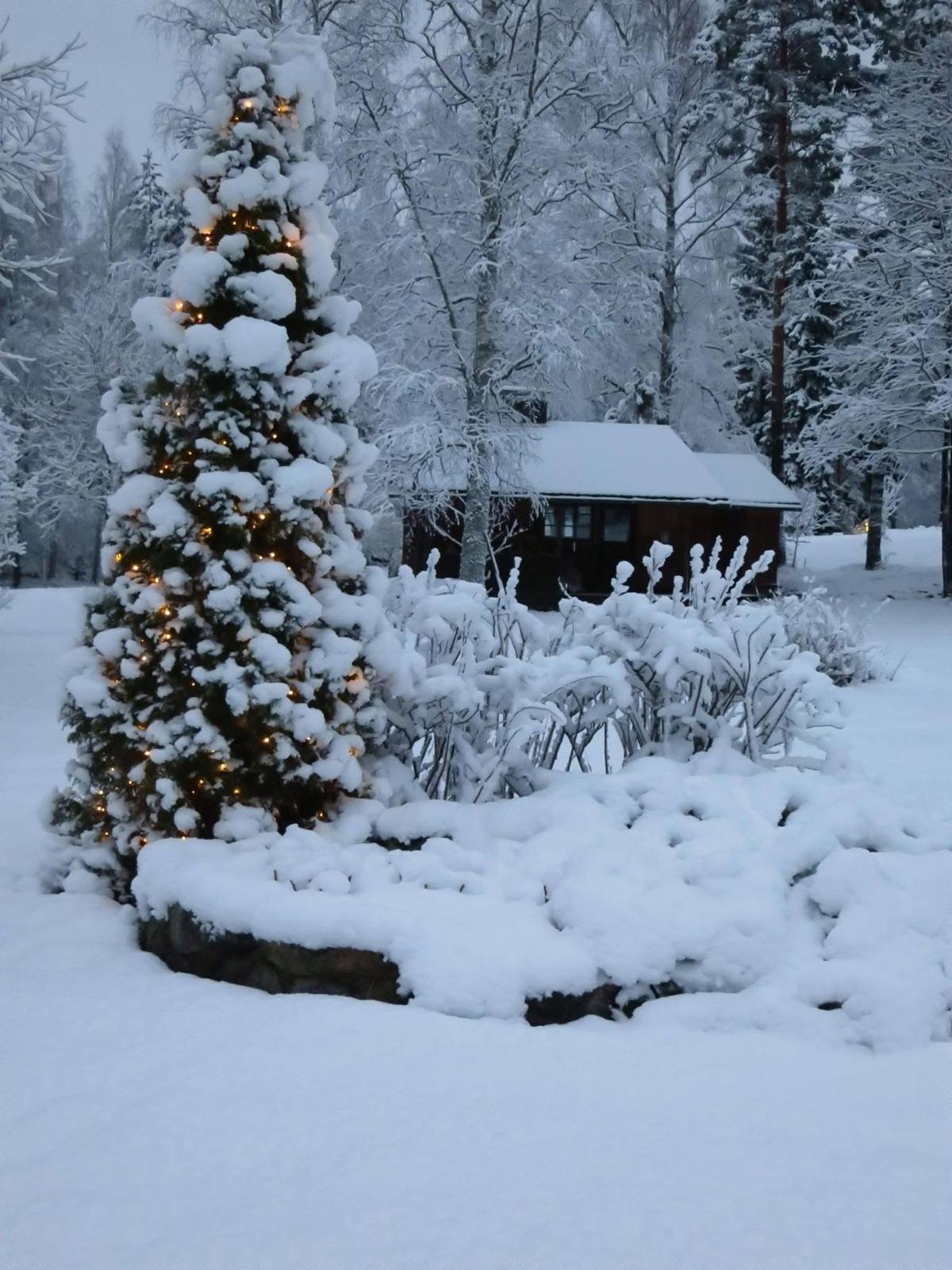 Talvimaisemaa takapihalta