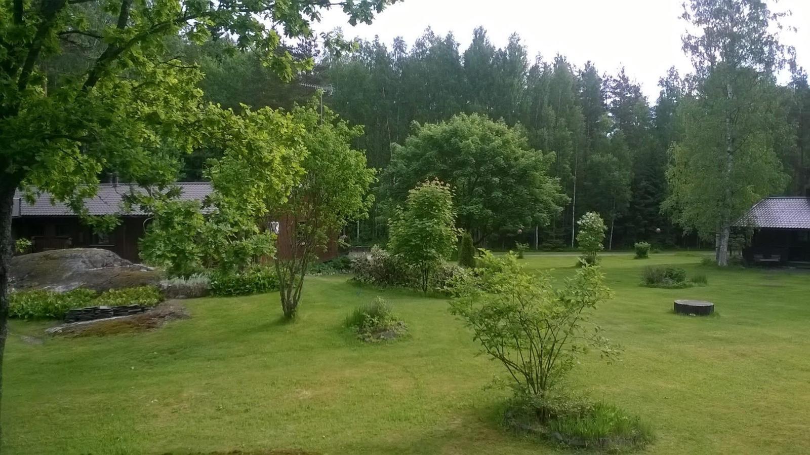 Kesäistä takapiha maisemaa