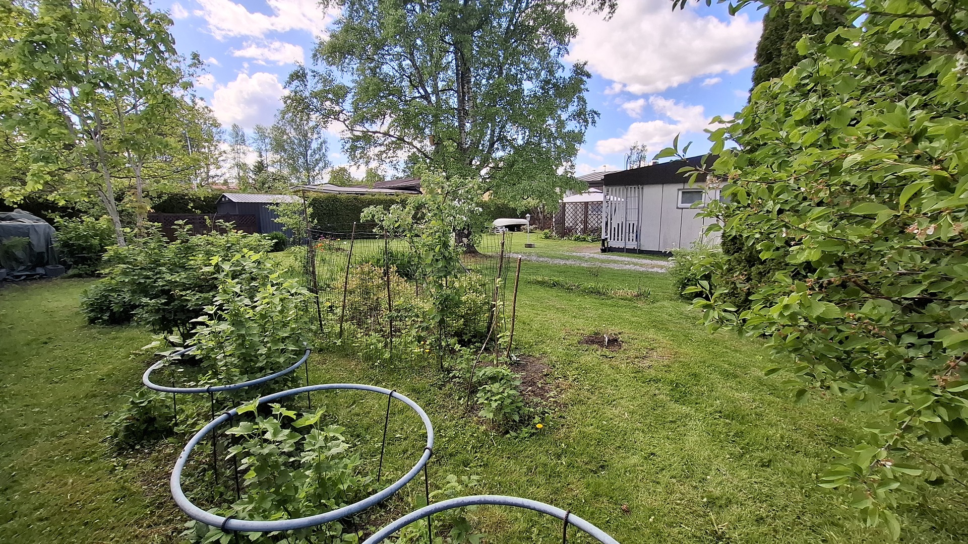 Orvokkipolku 9, Moisio, Lohja