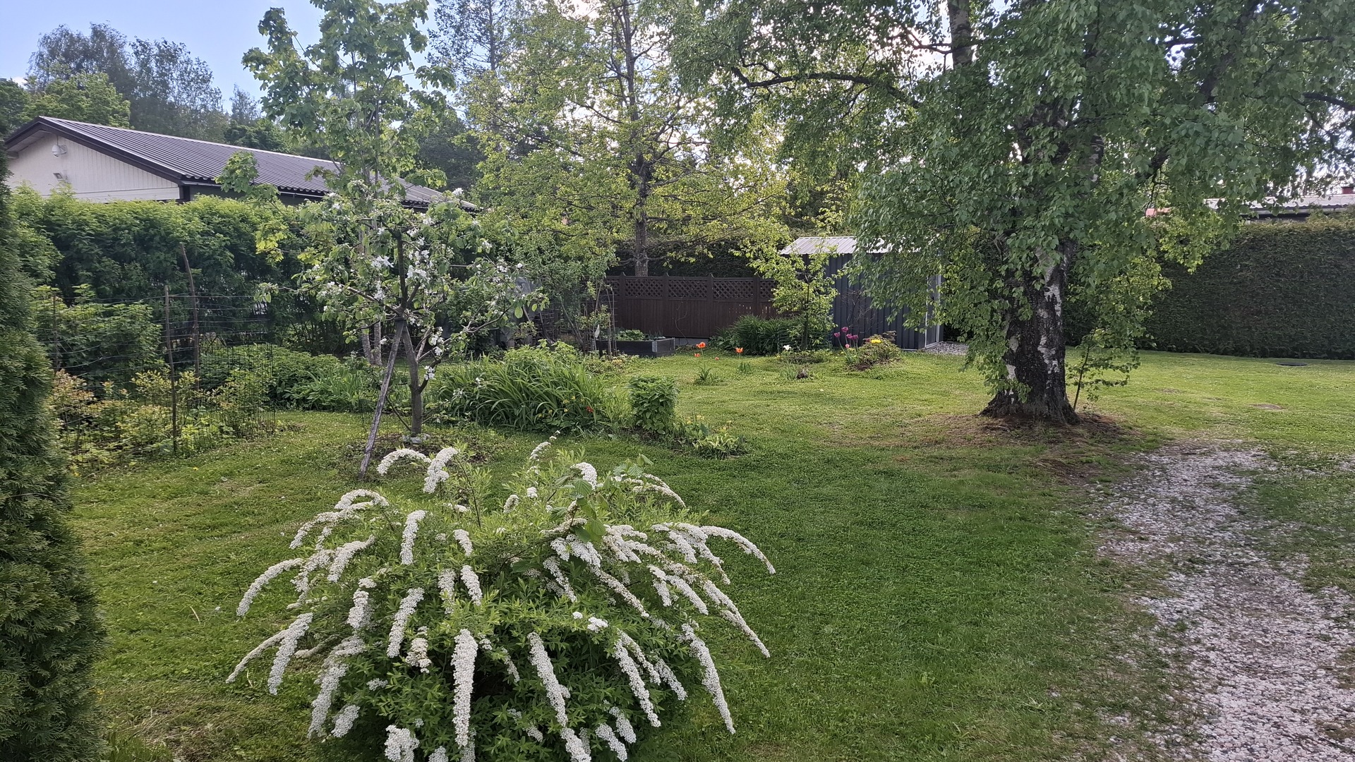 Orvokkipolku 9, Moisio, Lohja