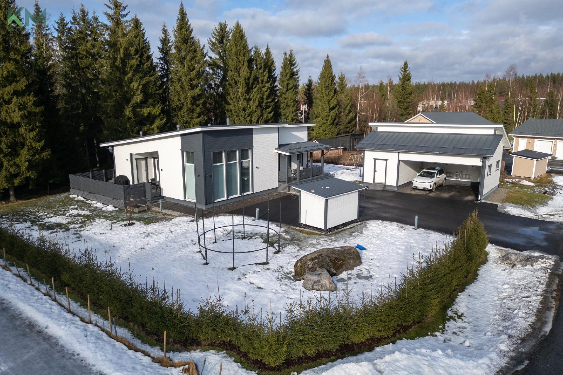 Kuusiaita hyvässä kasvussa