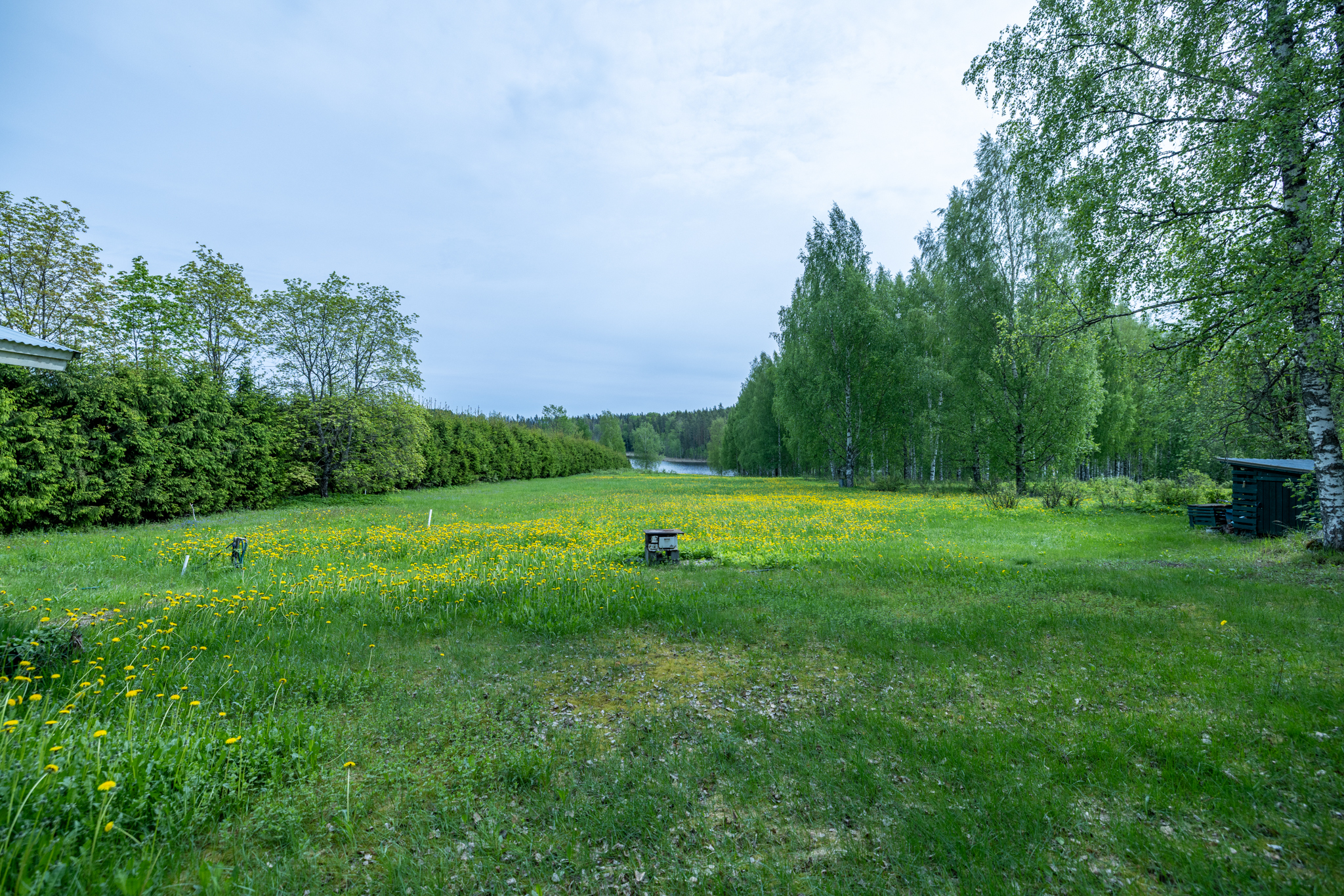 Vesiniementie 84, Vesiniemi, Puumala