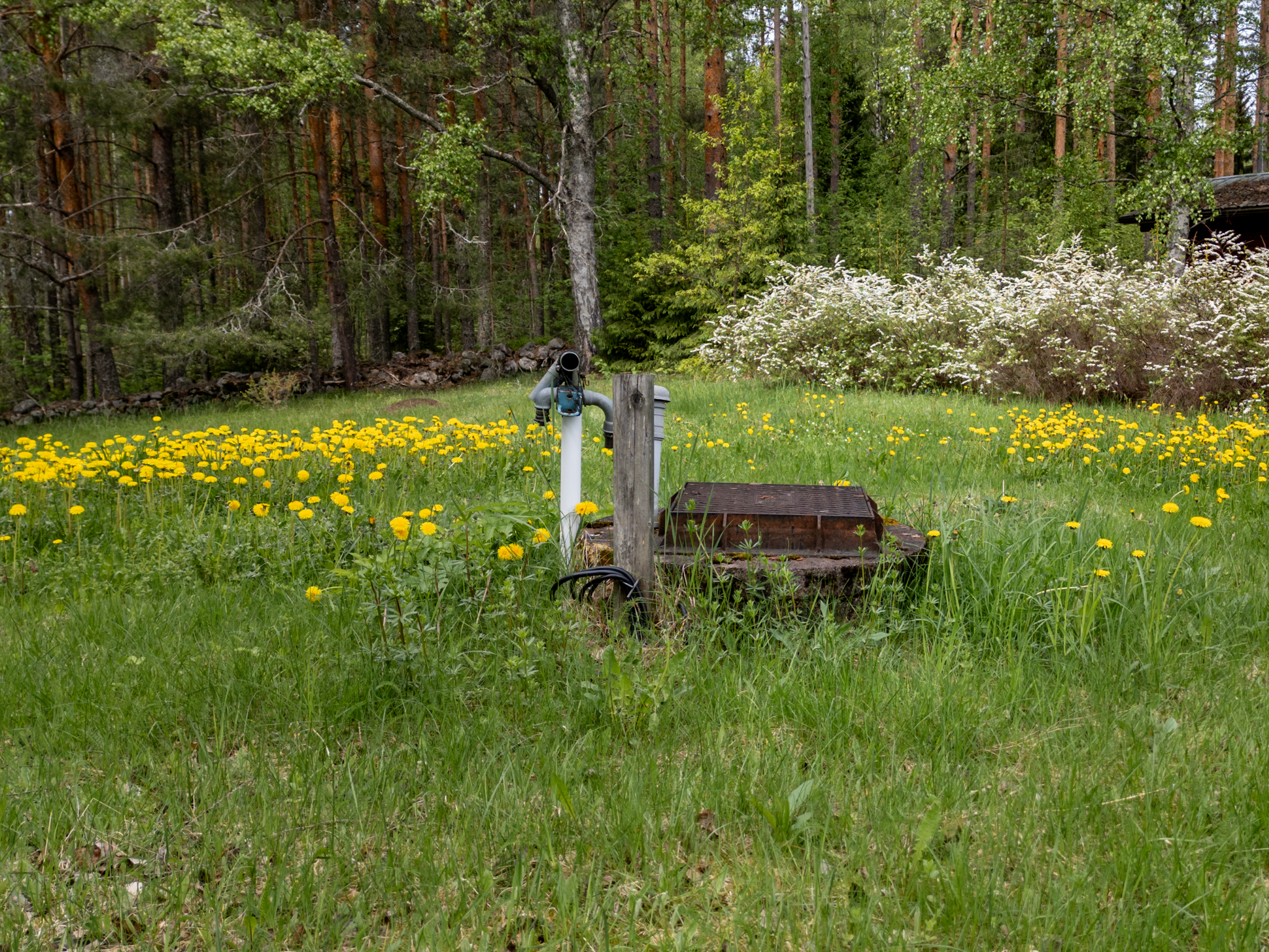 Vesiniementie 84, Vesiniemi, Puumala