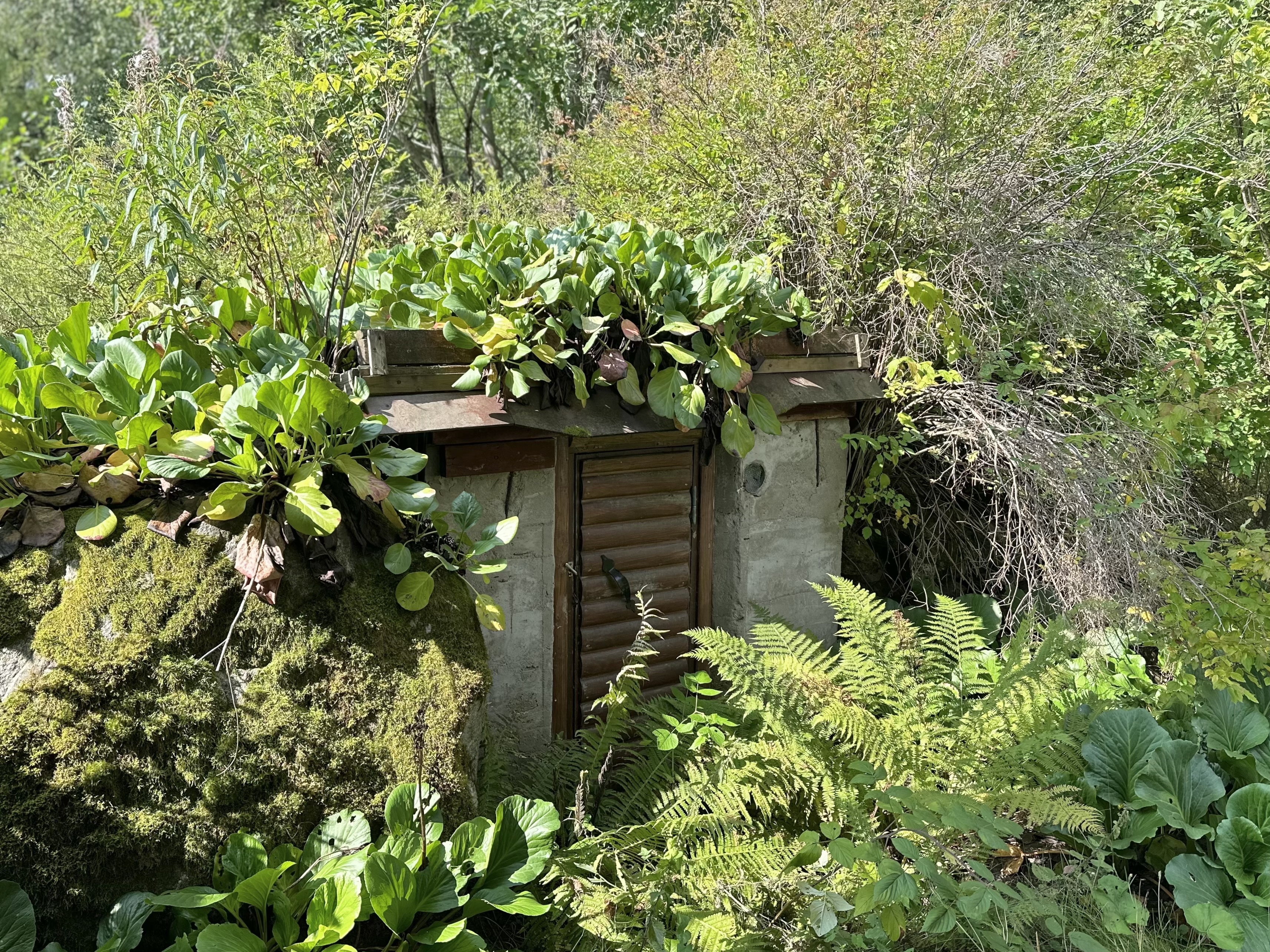 Kuhalantie 375, Alvettula, Hämeenlinna