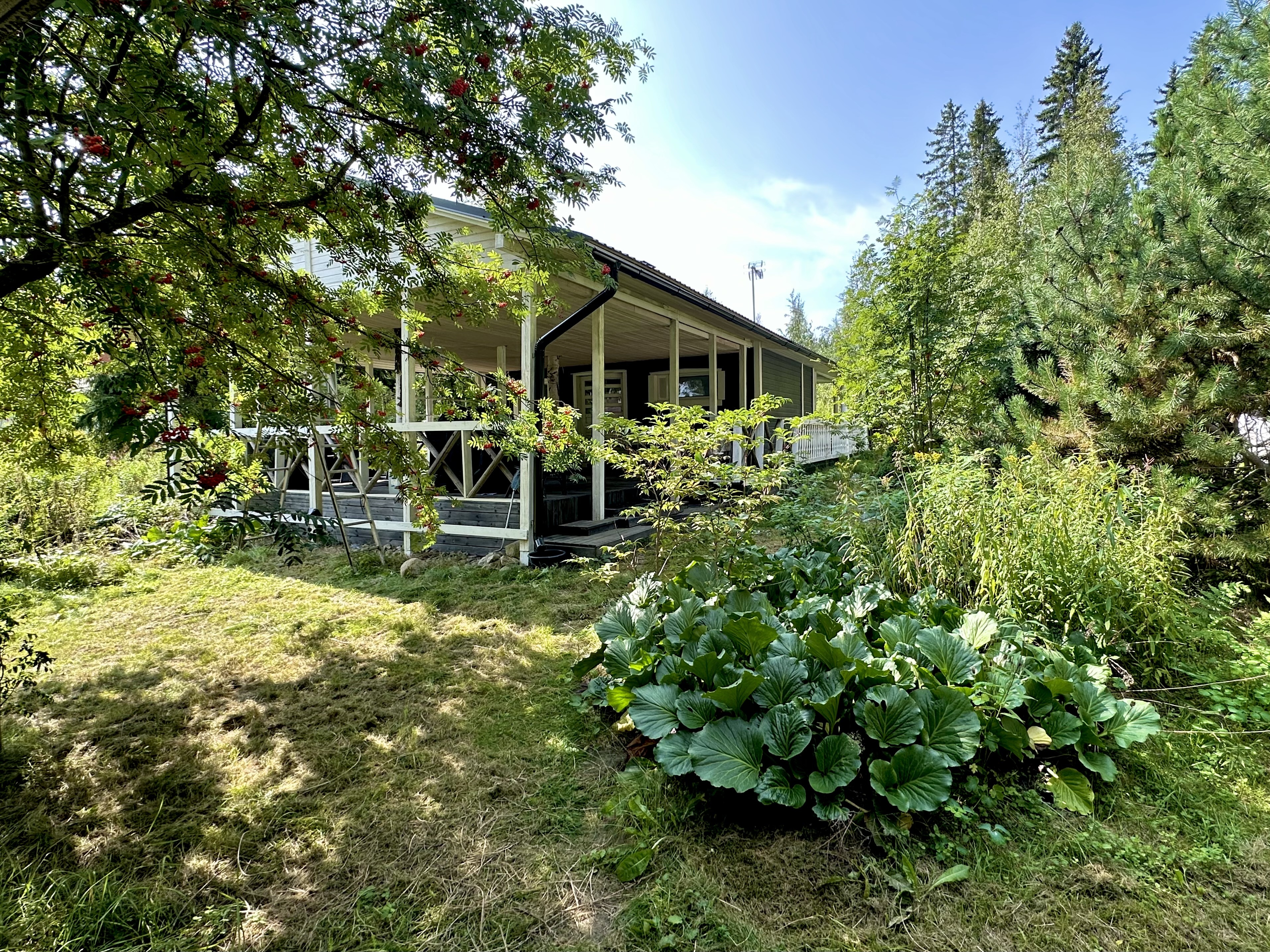 Kuhalantie 375, Alvettula, Hämeenlinna