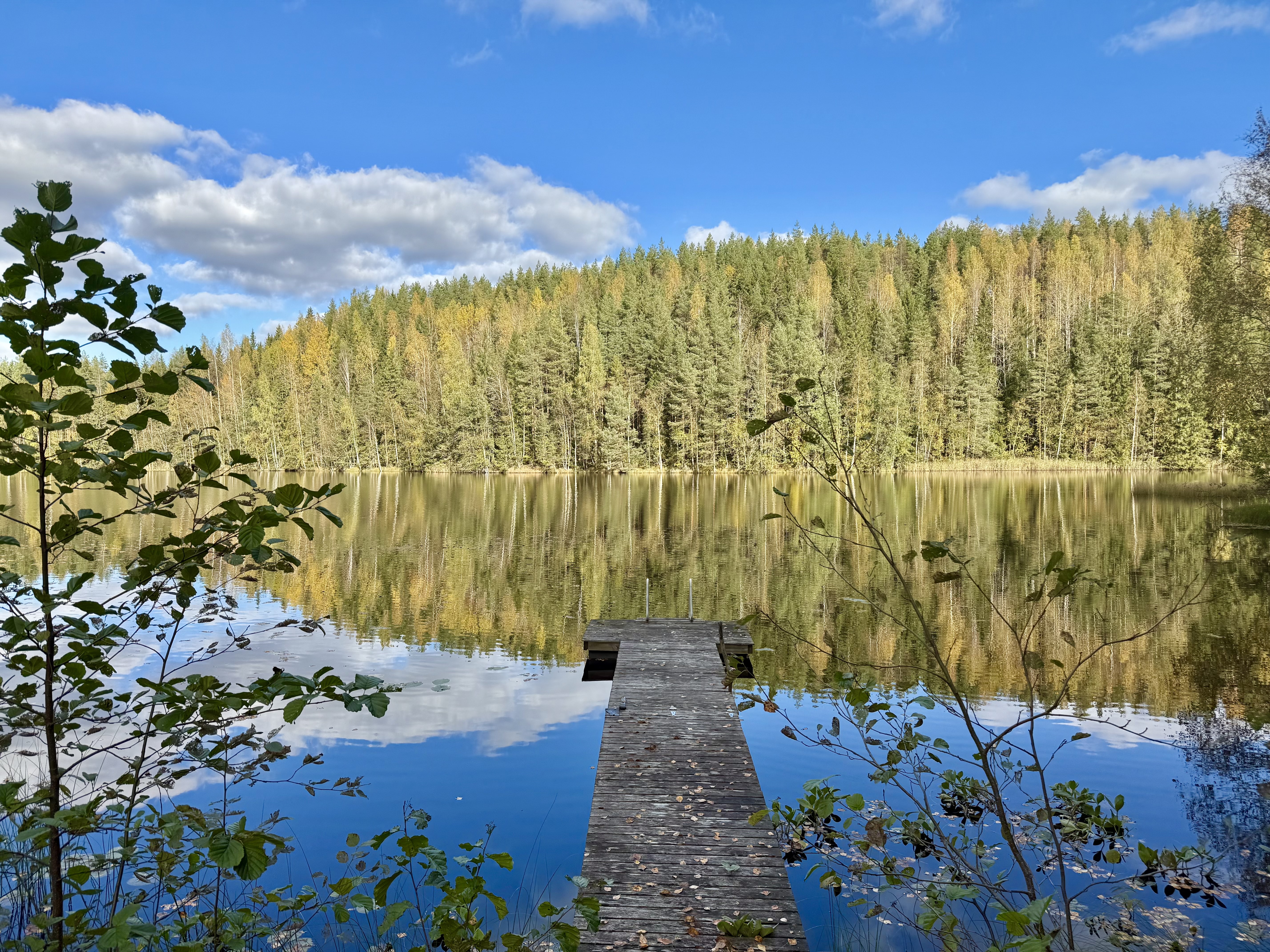 Veittijärventie 37, Vuohiniemi, Hattula
