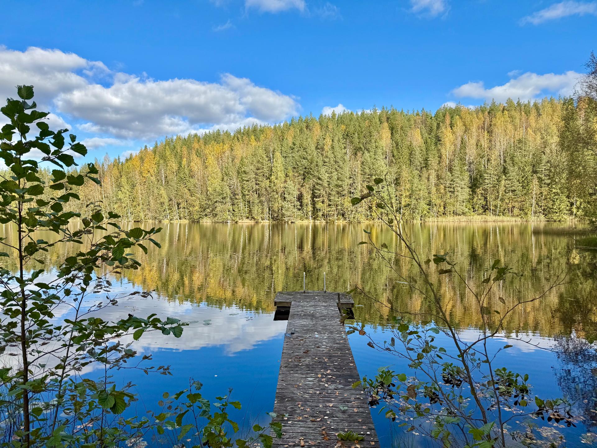 Veittijärventie 37, Vuohiniemi, Hattula