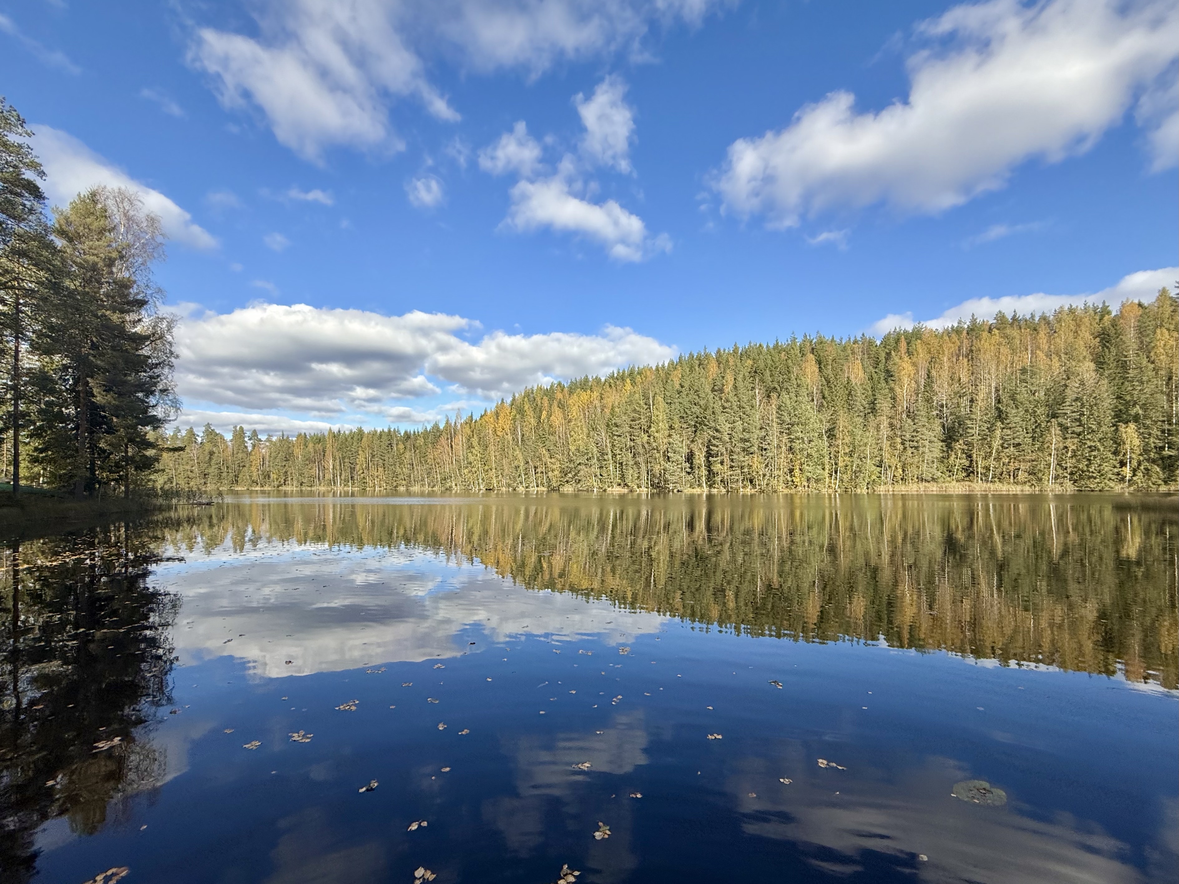 Veittijärventie 37, Vuohiniemi, Hattula
