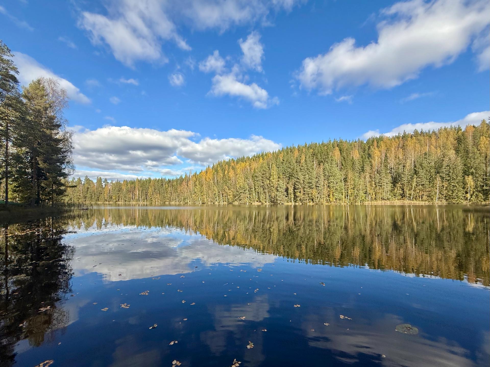 Veittijärventie 37, Vuohiniemi, Hattula
