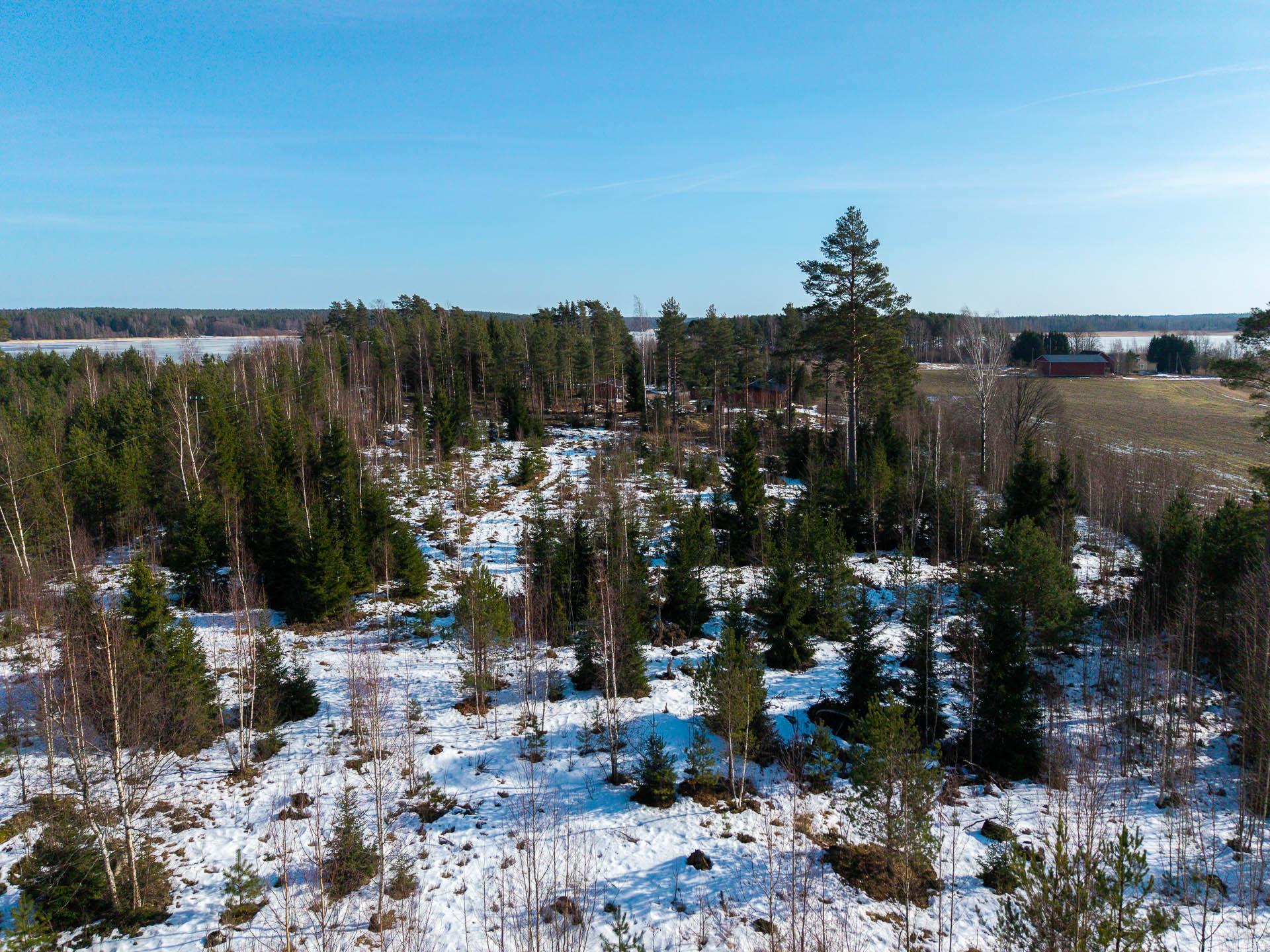 Björknäsintie 145, Seitlahti, Porvoo