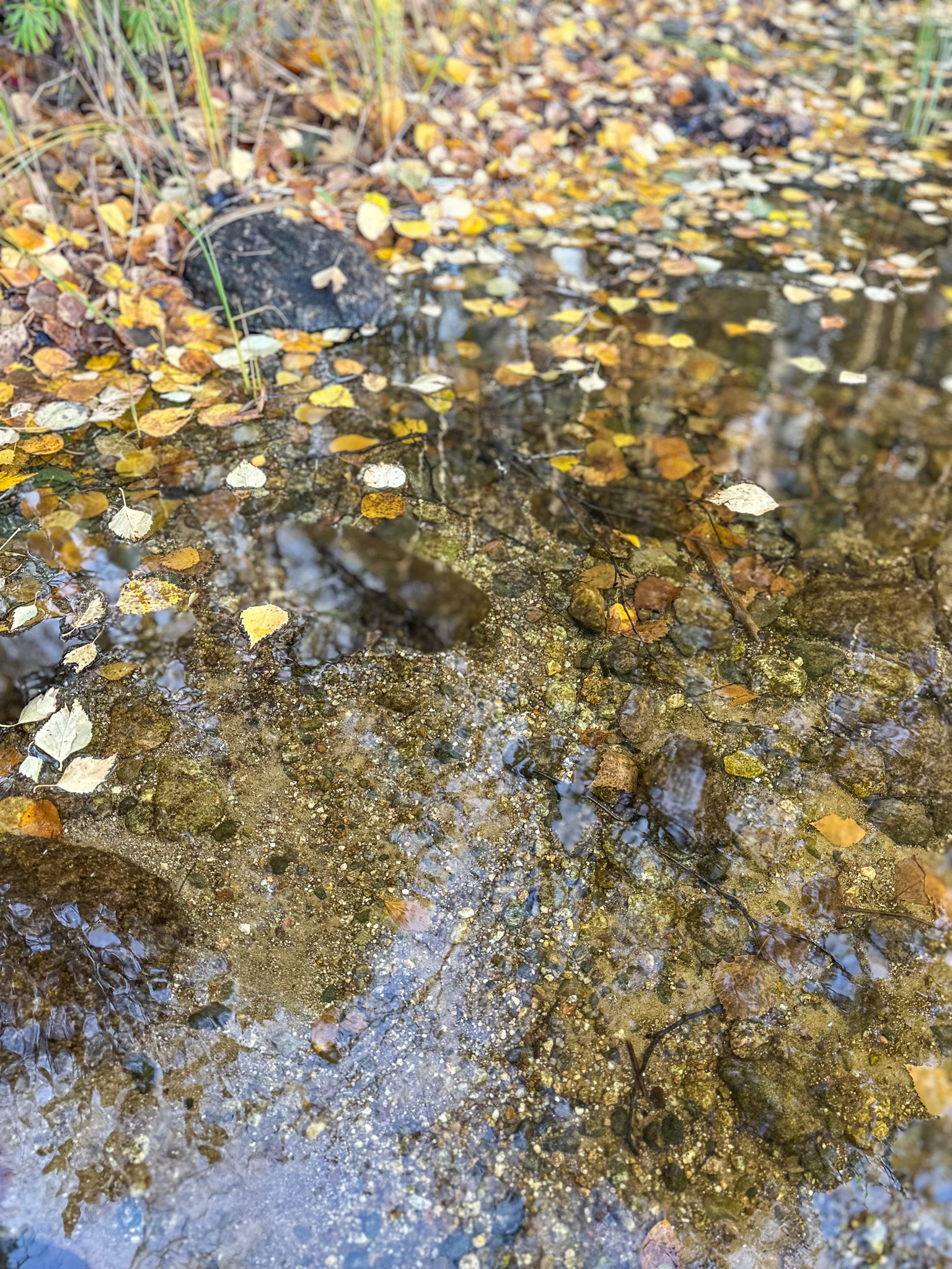 Metsämökintie 123, Savonranta, Savonlinna