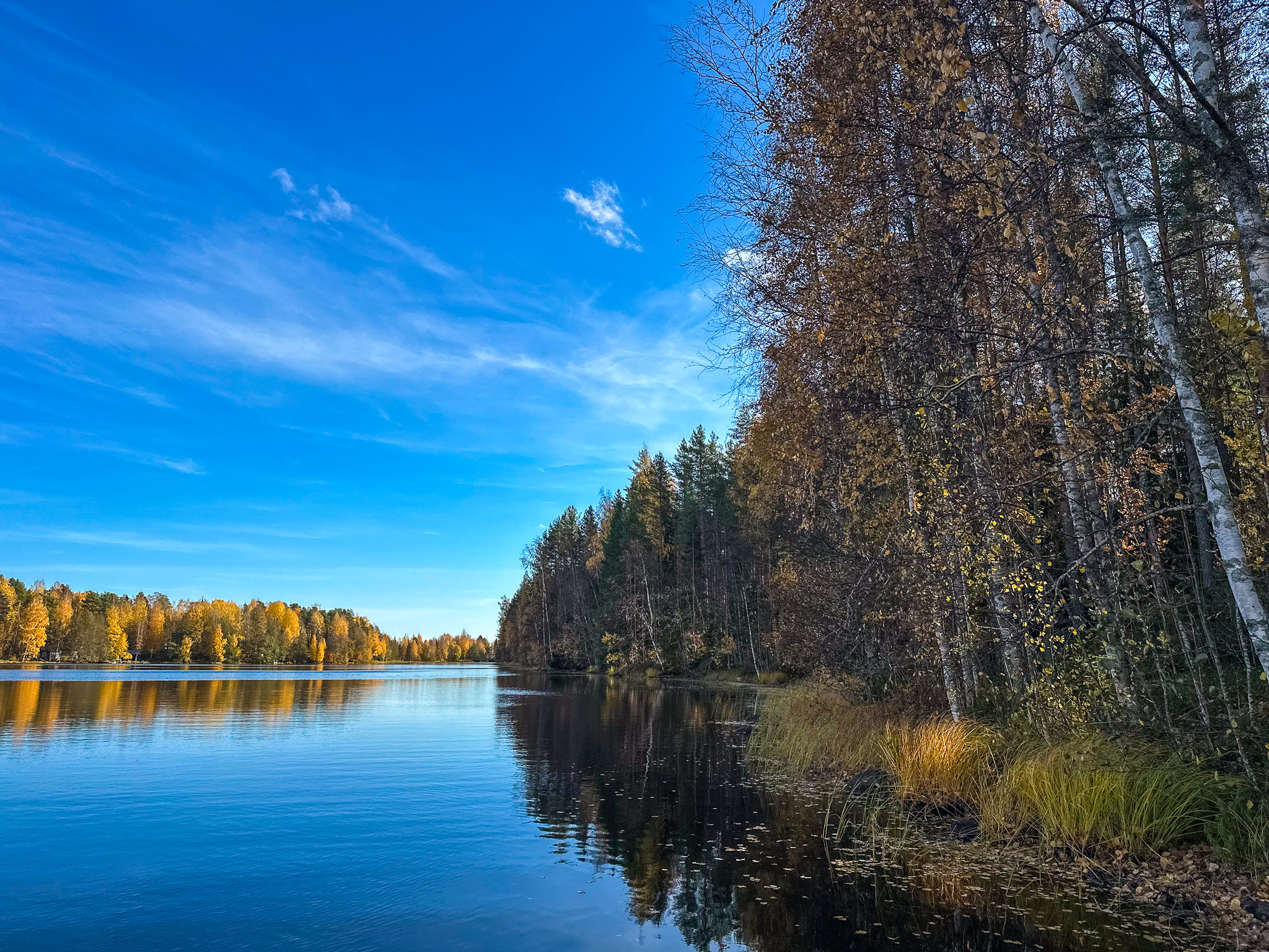Metsämökintie 123, Savonranta, Savonlinna