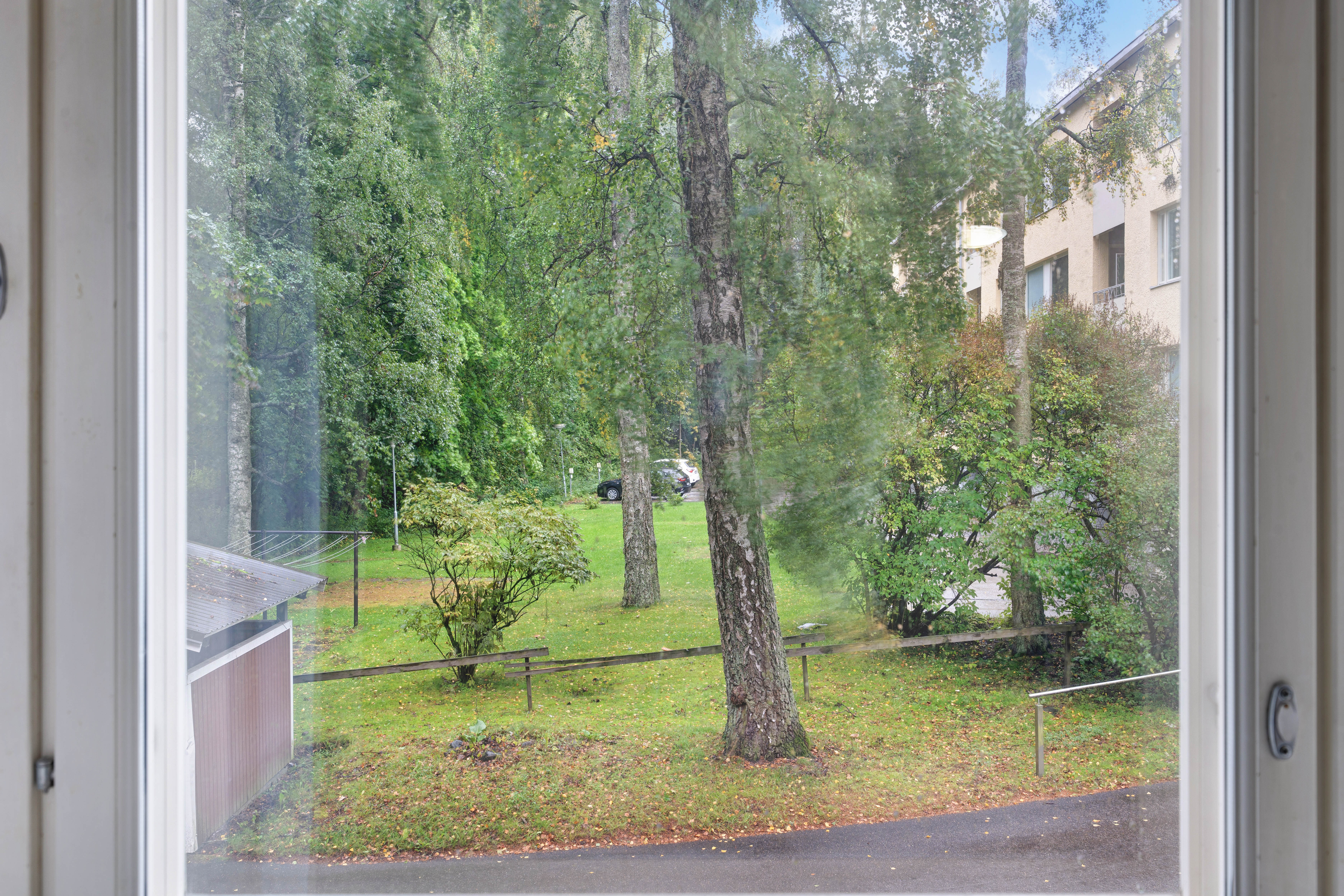 Ihanan vehreät näkymät ikkunasta 