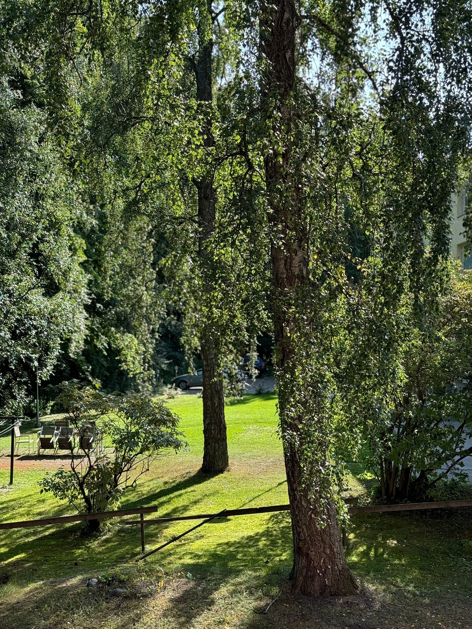 Vehreä piha-alue