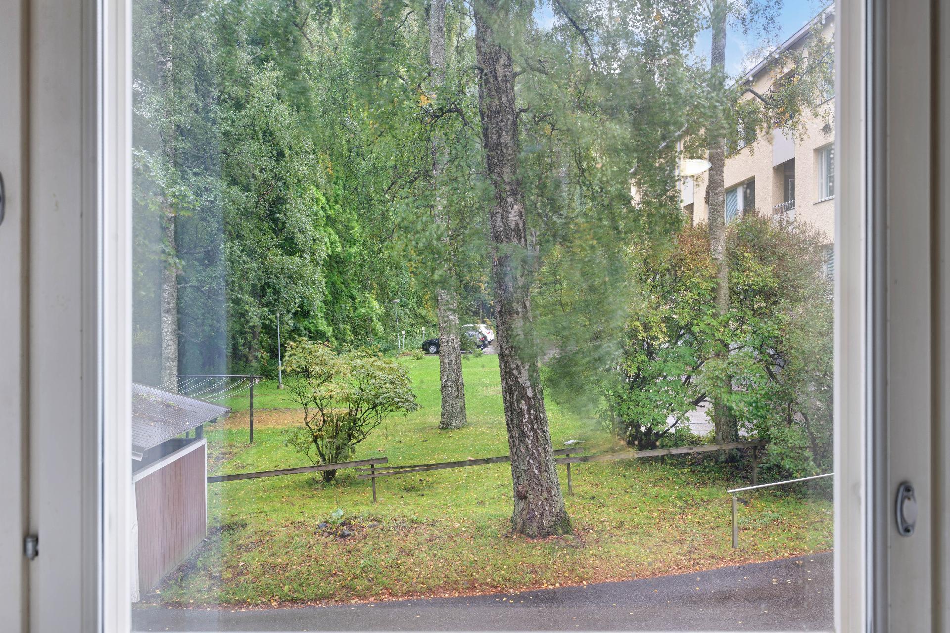 Ihanan vehreät näkymät ikkunasta 