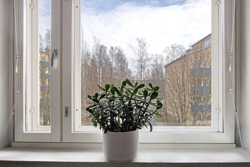 Huovitie 3, Pohjois-Haaga, Helsinki