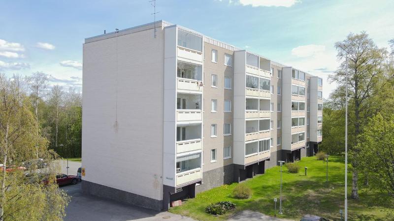 Kesäinen vehreä piha-alue