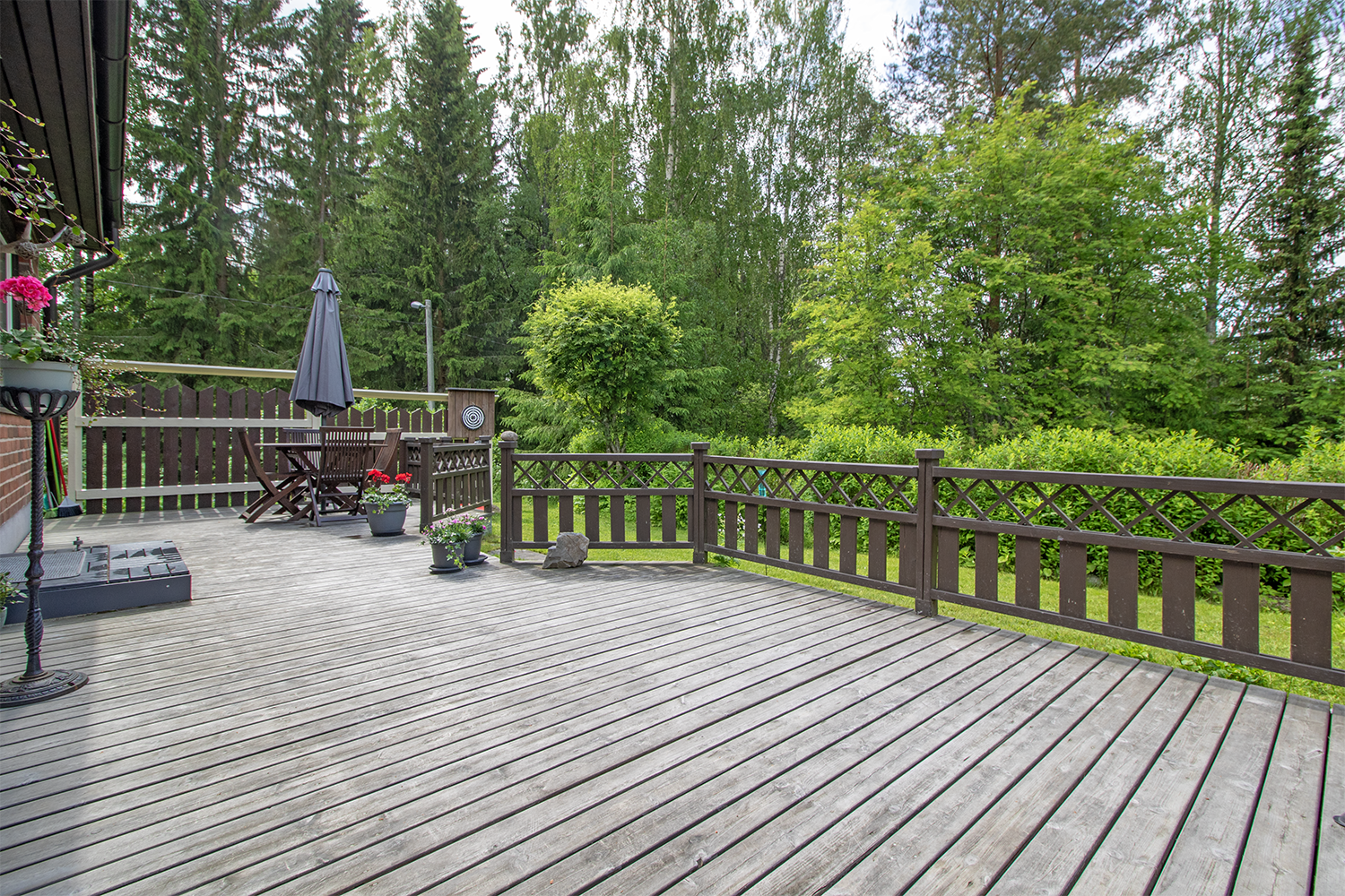 Piha alue rajautuu rauhalliseen metsään