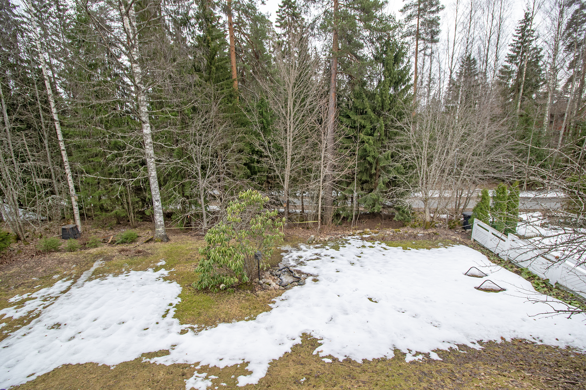 Piha rajautuu puistometsään.