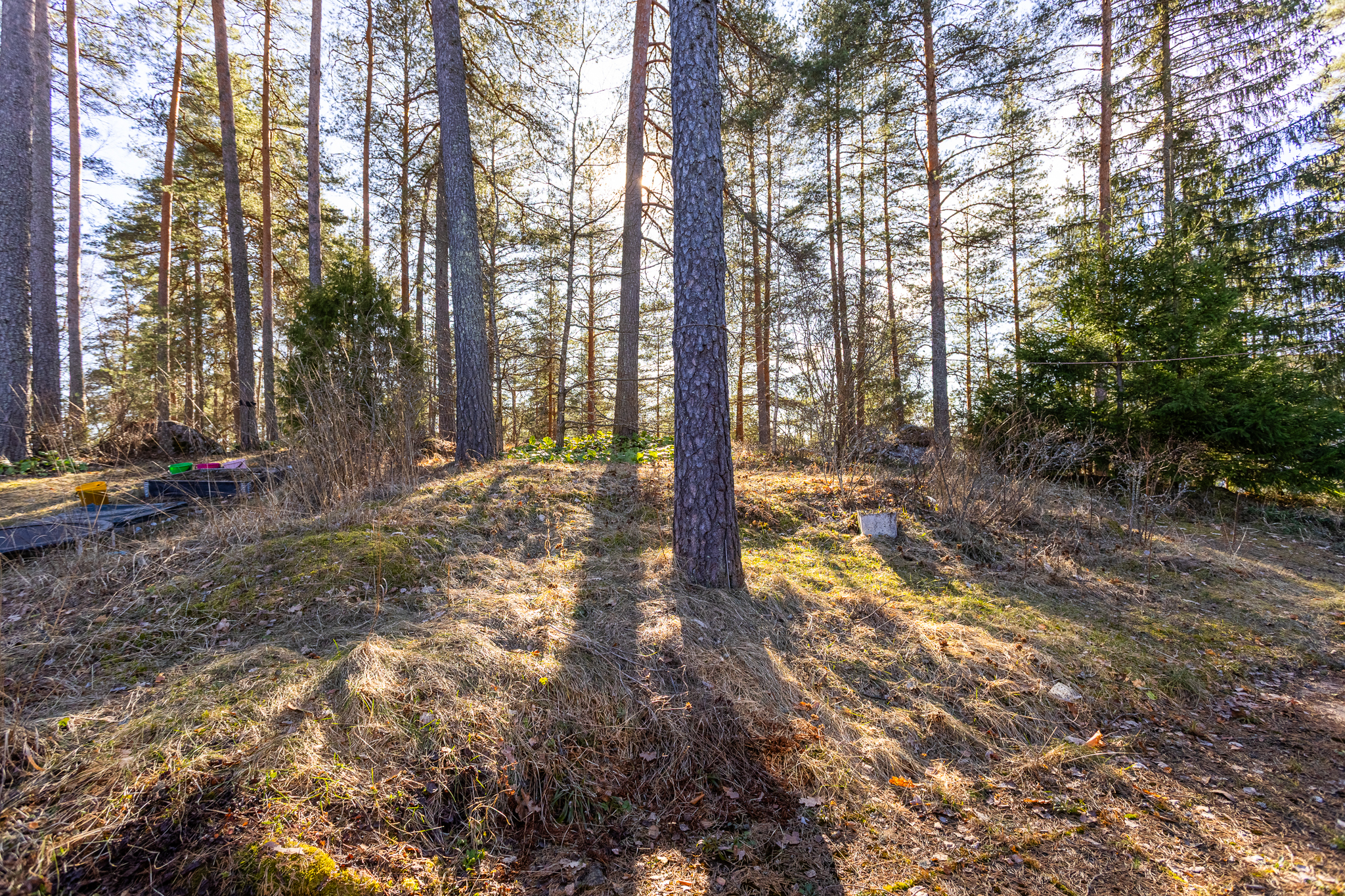 Tuulimyllyntie 8, Turenki, Janakkala