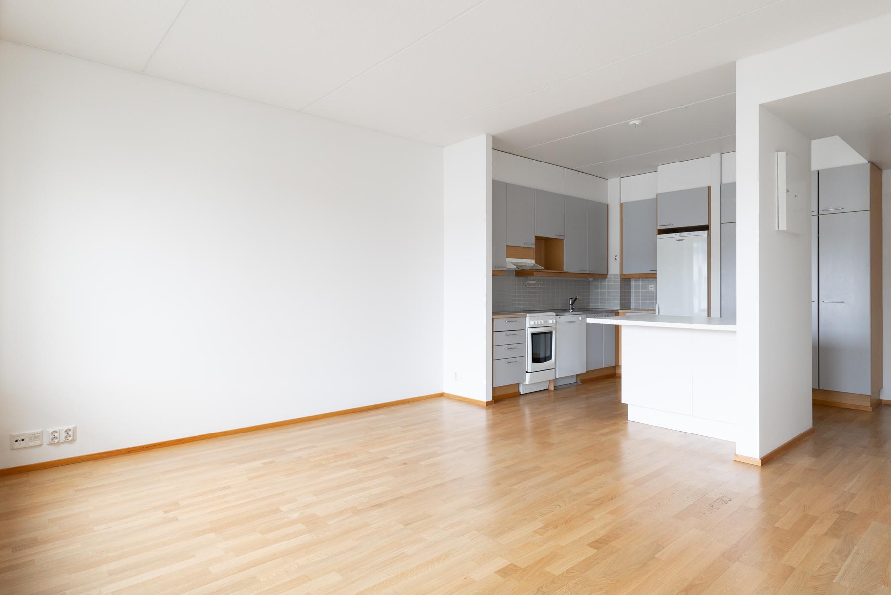 Olohuonetta ja avokeittiötä