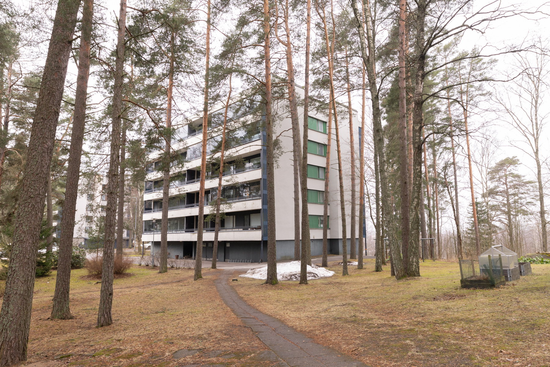 Taloyhtiön pihaa