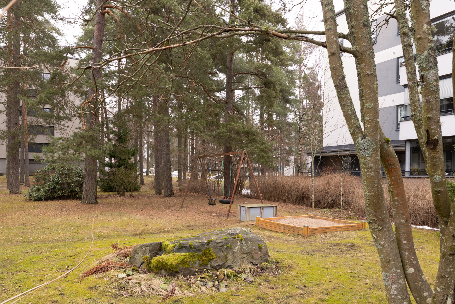 Taloyhtiön pihaa