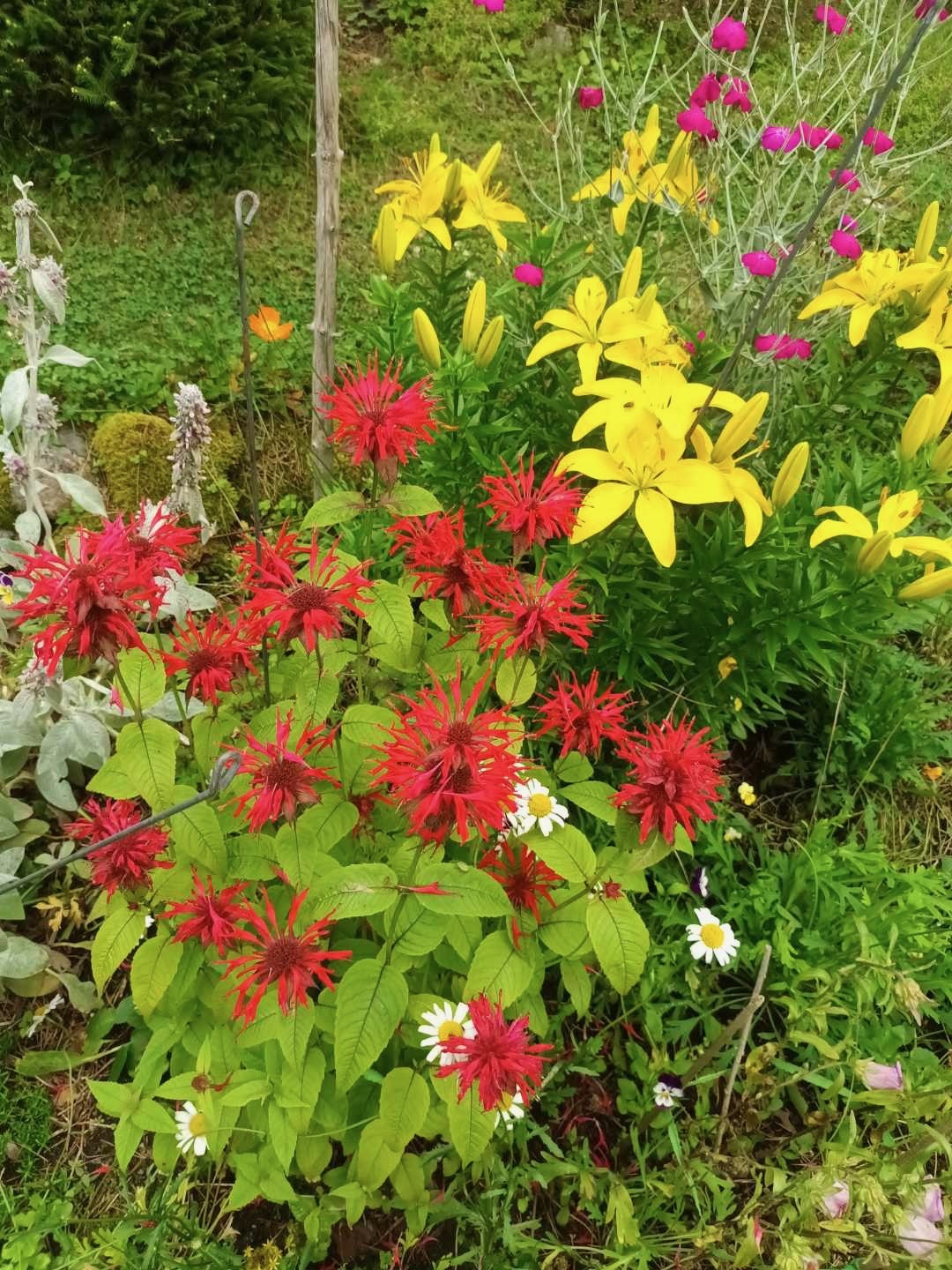 Krupuntie 32, Harvaluoto, Kaarina