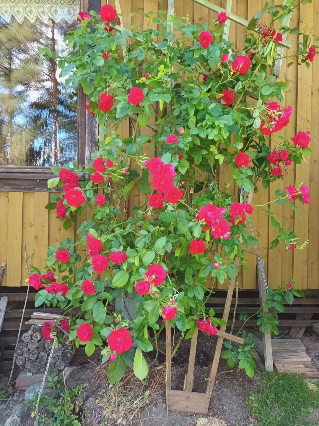 Krupuntie 32, Harvaluoto, Kaarina